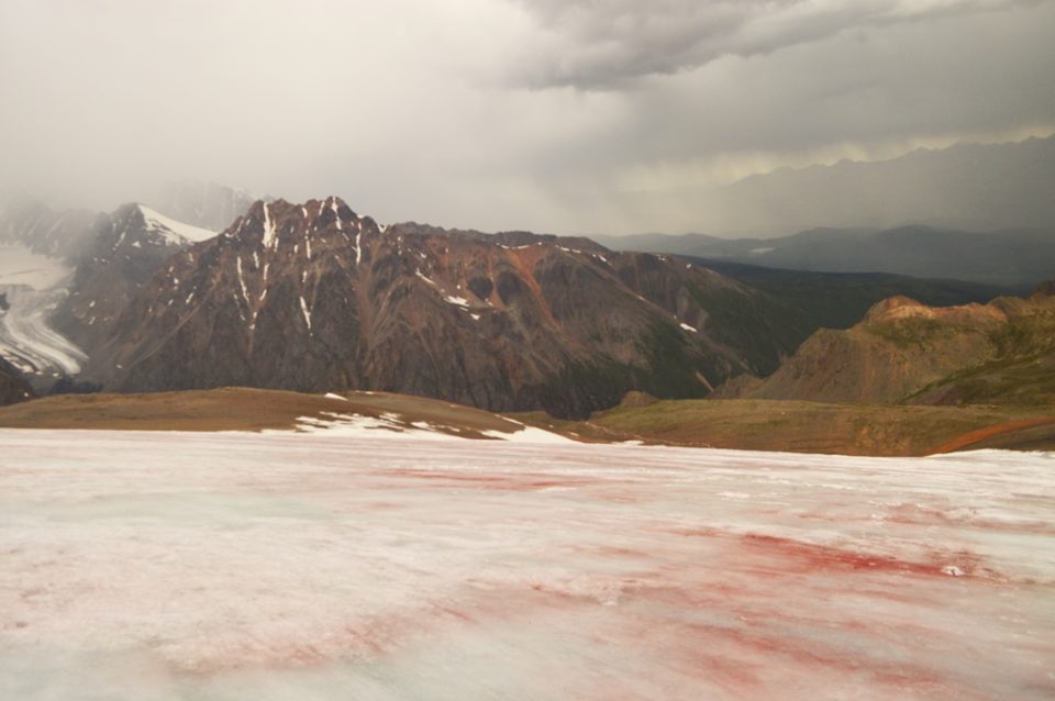 Покраснение ледника в Горном Алтае может ускорить его таяние