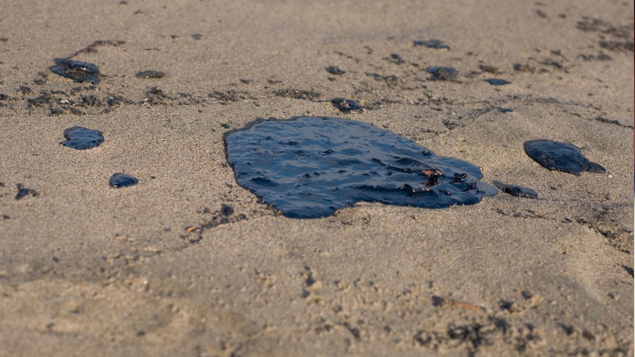 Правительство РФ создало комиссию по ликвидации разлива нефтепродуктов в Черном море Правительство РФ создало комиссию по ликвидации разлива нефтепродуктов в Черном море