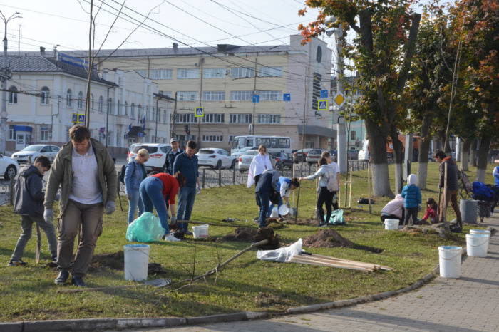 Иваново: в сквере Якова Гарелина высадили молодые дерьевья.
